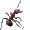 Муравей : Серый кардинал муравейника