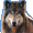 Волк : Волк свободного племени